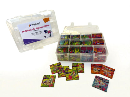 MindLabs Discovery Bundle